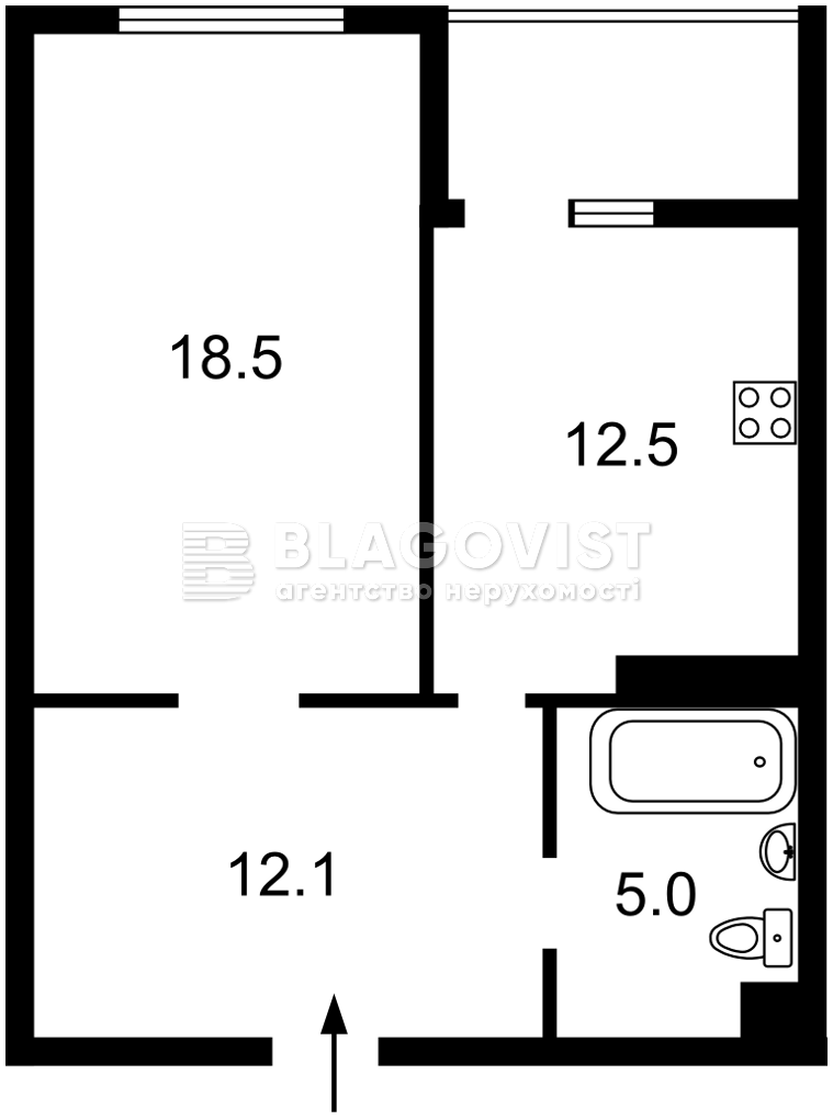 Apartment R-62981, Patriarkha Mstyslava Skrypnika (Ostrovskoho Mykoly), 40, Kyiv - Photo 9