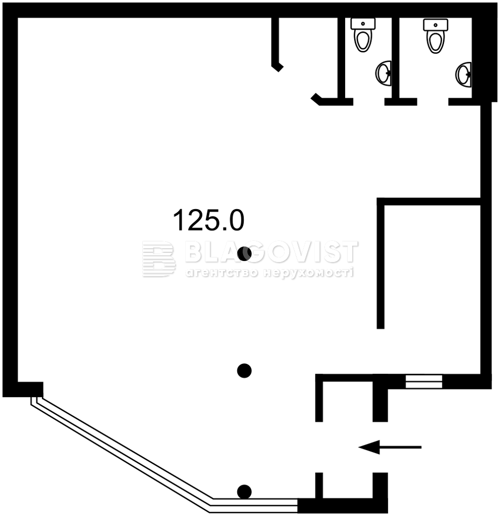  Нежилое помещение, P-32714, Мишуги Александра, Киев - Фото 3