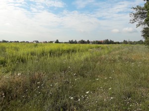 Земельна ділянка Мала Олександрівка, M-33860 - Фото3