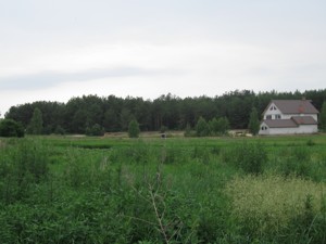 Земельный участок Коллективная, Ясногородка (Вышгородский), G-14292 - Фото 1