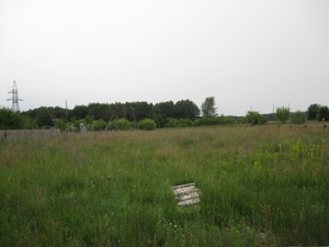 Земельна ділянка Колективна, Ясногородка (Вишгородський), G-14292 - Фото 7