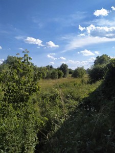 Земельна ділянка Пушкіна, Софіївська Борщагівка, P-28628 - Фото3