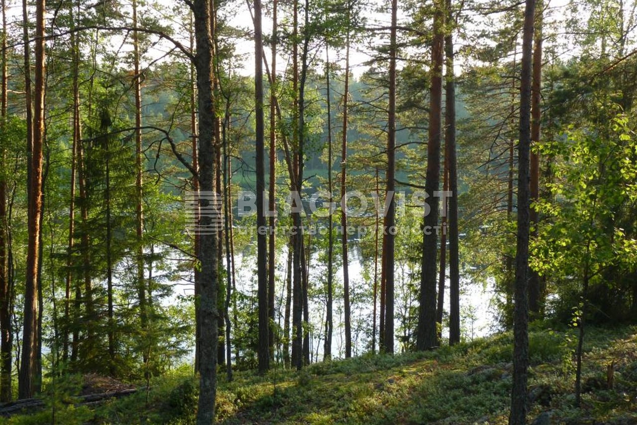 Земельна ділянка P-29740, Лісова, Таценки - Фото 3