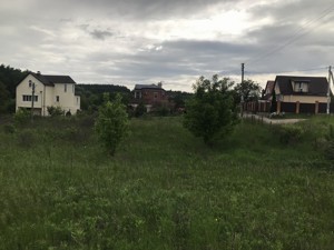 Земельный участок Большие Дмитровичи, A-112325 - Фото 3