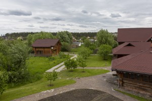  Recreation center, Zhytomyrska, Berezivka, C-109352 - Photo 42