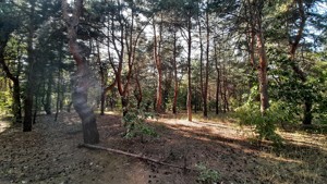 Земельна ділянка Лісова, Таценки, E-41337 - Фото 10