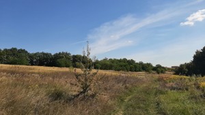 Земельна ділянка E-41430, Лісники (Києво-Святошинський) - Фото 12