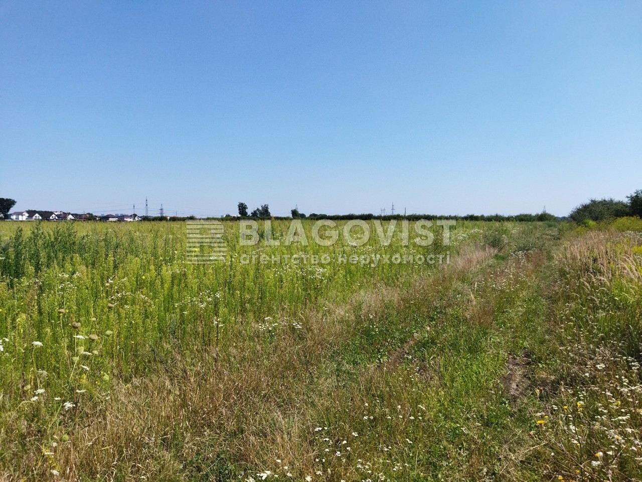 Земельный участок G-1476438, Тарасовка (Киево-Святошинский) - Фото 3