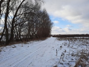 Земельный участок Княжичи (Броварской), P-30256 - Фото3