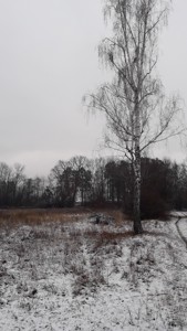 Земельна ділянка Лісова, Таценки, C-110178 - Фото 4