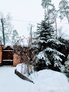 Дом Пушкинская, Буча (город), E-41924 - Фото