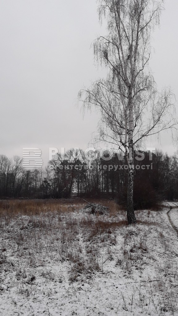Земельна ділянка C-110179, Лісова, Таценки - Фото 4