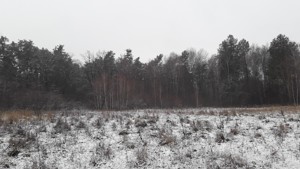 Земельна ділянка Лісова, Таценки, C-109835 - Фото1