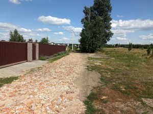 Земельна ділянка Лебедівка (Вишгородський), M-40229 - Фото 5