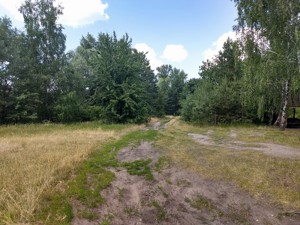 Земельна ділянка Лебедівка (Вишгородський), M-40229 - Фото 9