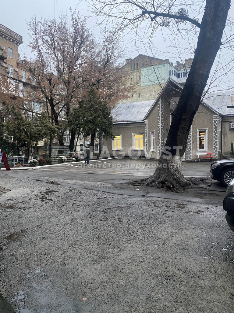 Отдельно стоящее здание, A-113096, Гетмана Скоропадского Павла (Толстого Льва), Киев - Фото 11