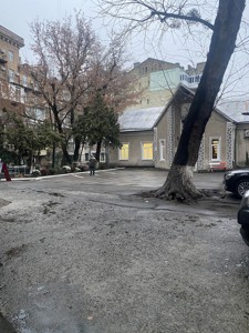  Окремо розташована будівля, A-113096, Гетьмана Скоропадського Павла (Толстого Льва), Київ - Фото 11