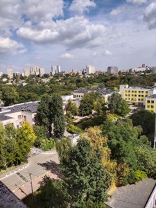 Квартира Пулюя Ивана, 5а, Киев, A-113318 - Фото 27