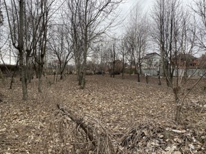 Земельный участок P-31089, Киевская, Гатное - Фото 2