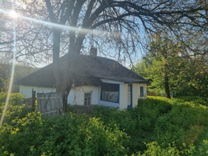 Дом Лесная Песня, Гусачевка, P-31515 - Фото 3