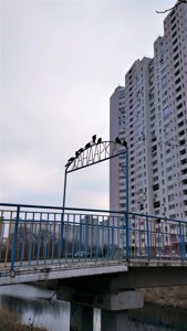 Квартира G-1967165, Урлівська, 38а, Київ - Фото 9