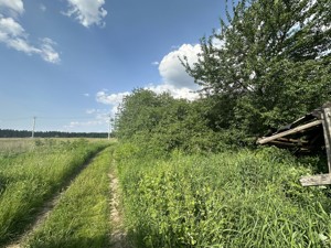 Земельный участок Воровского, Колонщина, A-114140 - Фото 6