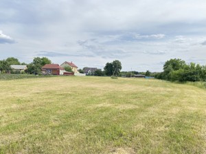 Land Shevchenka, Velyka Buhaivka, A-114177 - Photo3