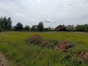 Land C-111839, Sadova, Khotianivka - Photo 7