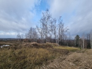 Land D-39174, Pushkina, Roslavychi - Photo 7