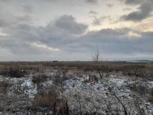 Земельна ділянка P-32064, Красилівка (Броварський) - Фото 3