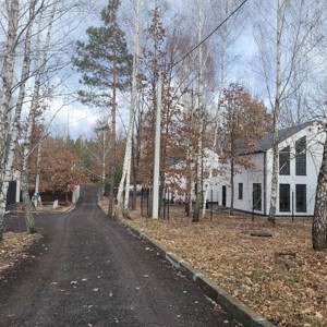 House D-39353, Dmytrivka - Photo 32