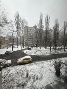 Apartment R-61510, Ratushnoho Romana (Volhohrads'ka), 33, Kyiv - Photo 10