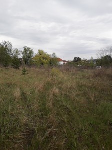 Земельна ділянка Молодіжна, Іванковичі, C-112890 - Фото