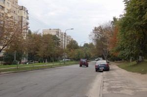 Apartment R-61440, Zdanovskoi Yulii (Lomonosova), 34б, Kyiv - Photo 6