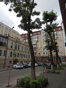 Apartment R-64130, Mezhyhirska, 3/7б, Kyiv - Photo 6