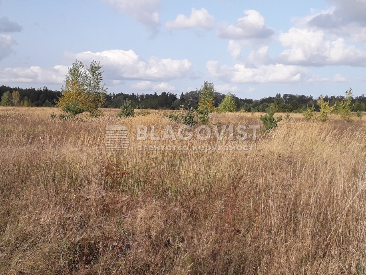 Земельный участок C-112919, Боярская, Белогородка - Фото 1