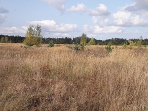 Земельный участок C-112919, Боярская, Белогородка - Фото 1