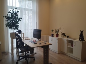  Office, A-115203, Liuteranska, Kyiv - Photo 18