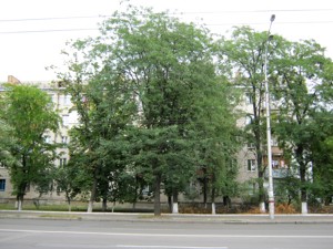 Квартира Строителей, 24, Киев, R-48832 - Фото