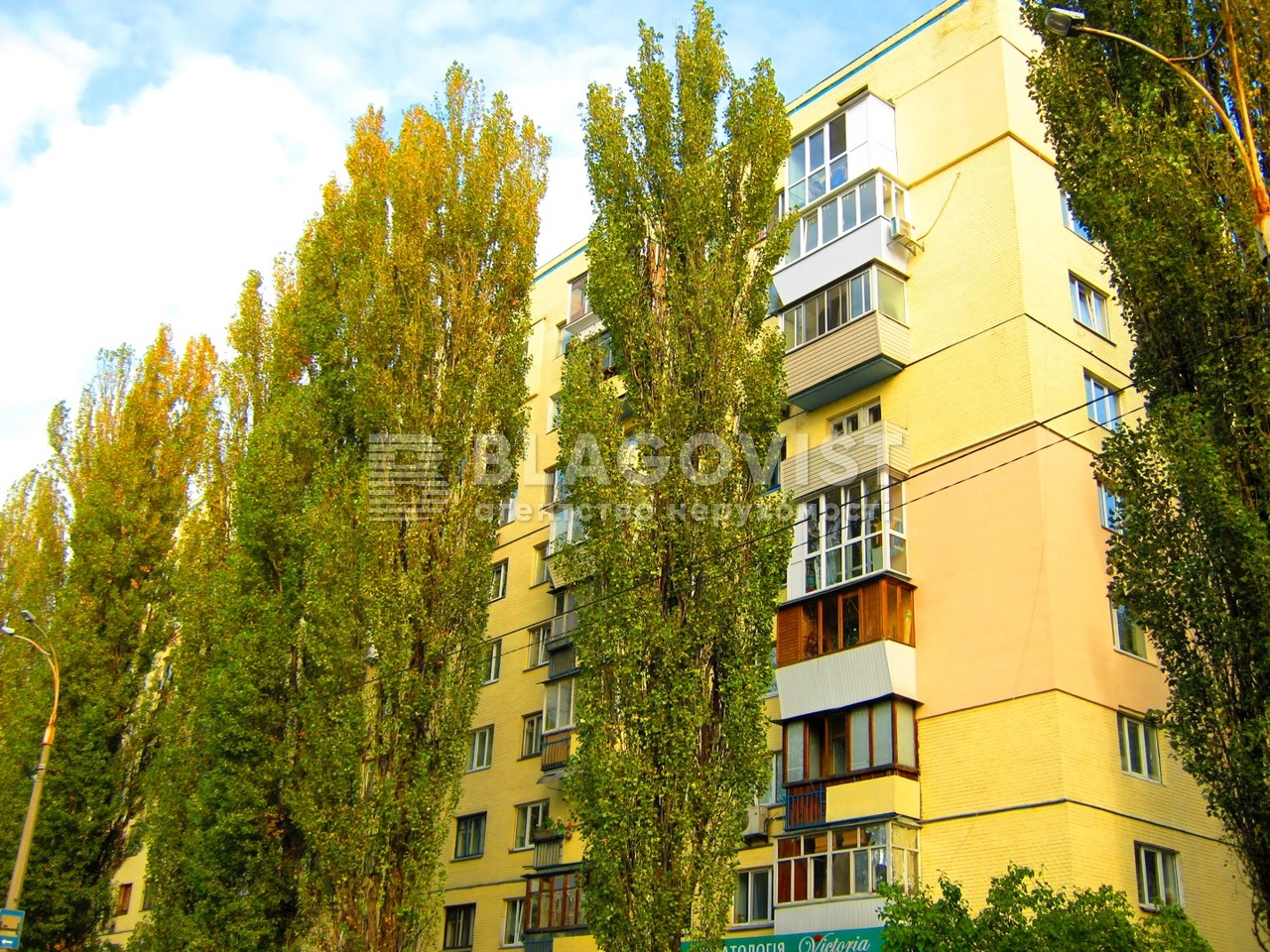 Apartment F-45531, Lesi Ukrainky boulevard, 24б, Kyiv - Photo 2