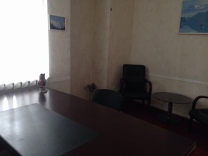  Офіс, Перемоги просп.(Брест-Литовський), Київ, F-32720 - Фото 3