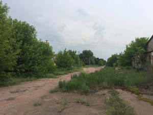 Land M-29303, Yasnohorodka (Makarivskyi) - Photo 9