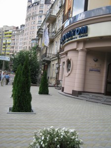 Квартира Назаровская (Ветрова Бориса), 9, Киев, G-807579 - Фото3