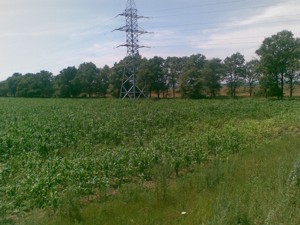 Земельный участок Княжичи (Броварской), M-29482 - Фото 3