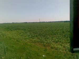 Land Kniazhychi (Brovarskyi), M-29482 - Photo2