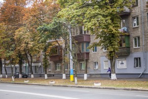 Квартира Лаврская, 8, Киев, G-802943 - Фото 10